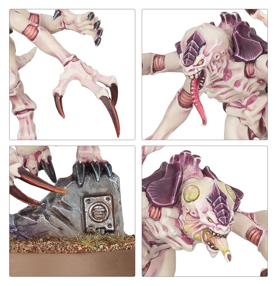 Warhammer 40K:Combat Patrol: Tyranid Assault Brood