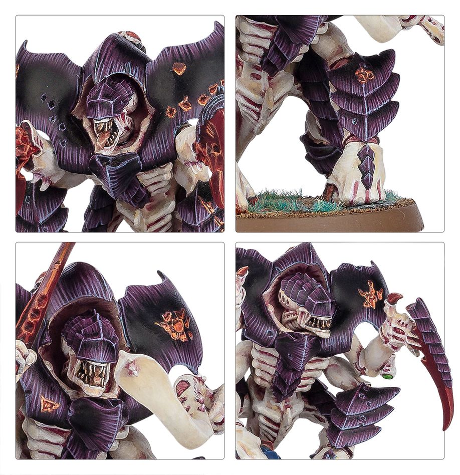 Warhammer 40K:Combat Patrol: Tyranid Assault Brood