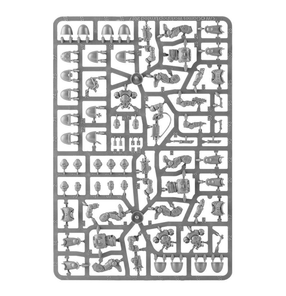 Space Marines - Primaris Intercessors - Paradise Hobbies LLC