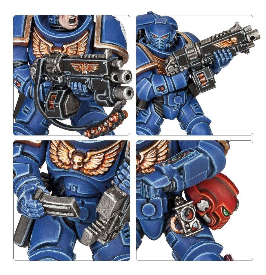 Space Marines - Primaris Intercessors - Paradise Hobbies LLC